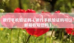 银行手机验证码（银行手机验证码可以邮箱收短信吗）