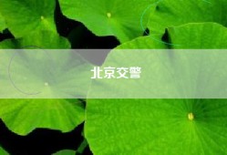 北京交警