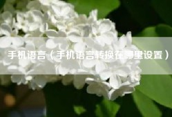 手机语言（手机语言转换在哪里设置）