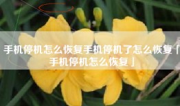 手机停机怎么恢复手机停机了怎么恢复「手机停机怎么恢复」