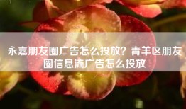 永嘉朋友圈广告怎么投放？青羊区朋友圈信息流广告怎么投放