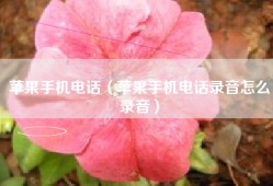 苹果手机电话（苹果手机电话录音怎么录音）