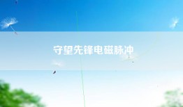 守望先锋电磁脉冲