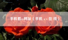 手机看av网址（手机 a v 在 线）