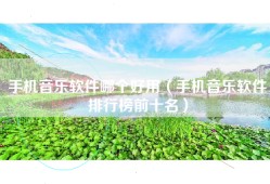 手机音乐软件哪个好用（手机音乐软件排行榜前十名）
