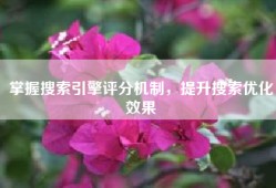 掌握搜索引擎评分机制，提升搜索优化效果