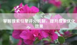 掌握搜索引擎评分机制，提升搜索优化效果
