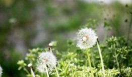 佛山回收布料 收购处理布面料 回收清仓布料布匹