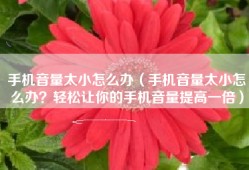 手机音量太小怎么办（手机音量太小怎么办？轻松让你的手机音量提高一倍）