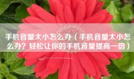 手机音量太小怎么办（手机音量太小怎么办？轻松让你的手机音量提高一倍）