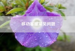 移动客服常见问题