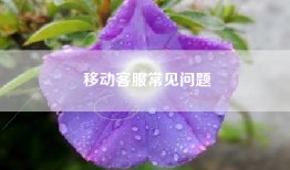 移动客服常见问题