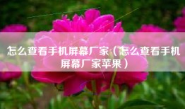 怎么查看手机屏幕厂家（怎么查看手机屏幕厂家苹果）