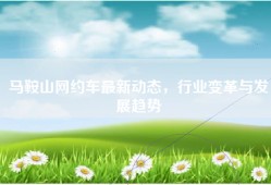 马鞍山网约车最新动态，行业变革与发展趋势