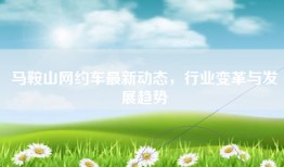 马鞍山网约车最新动态，行业变革与发展趋势