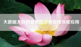 大数据大联网看智能可视管理深度应用
