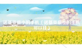 诺基亚最小的手机（诺基亚最小的手机可以挂）
