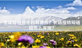 生成短链接平台有哪些？长链接转短链接怎么实现？