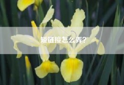 短链接怎么弄？