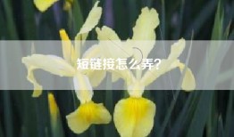 短链接怎么弄？