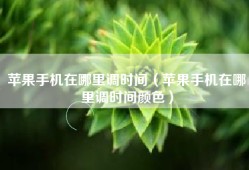苹果手机在哪里调时间（苹果手机在哪里调时间颜色）