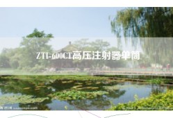 ZTI-600CT高压注射器单筒