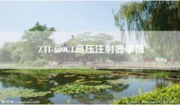 ZTI-600CT高压注射器单筒
