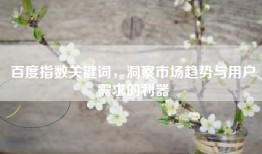 百度指数关键词，洞察市场趋势与用户需求的利器