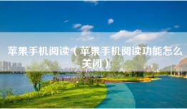 苹果手机阅读（苹果手机阅读功能怎么关闭）