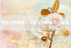 手机上网限速（手机上网限速怎么设置）