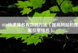 SEO快速排名有效的方法（提高网站的搜索引擎排名）