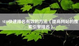 SEO快速排名有效的方法（提高网站的搜索引擎排名）