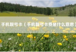 手机靓号卡（手机靓号卡费是什么意思）