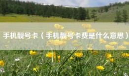 手机靓号卡（手机靓号卡费是什么意思）