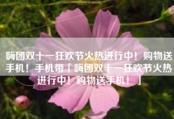 嗨团双十一狂欢节火热进行中！购物送手机！手机带「嗨团双十一狂欢节火热进行中！购物送手机！」