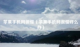 苹果手机网很慢（苹果手机网很慢咋么办）