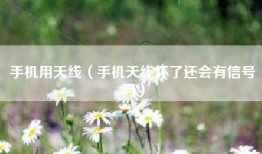 手机用天线（手机天线坏了还会有信号吗）