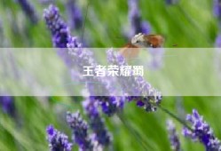 王者荣耀蜀