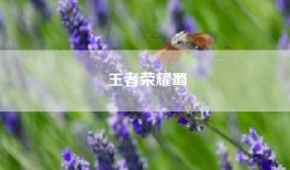 王者荣耀蜀