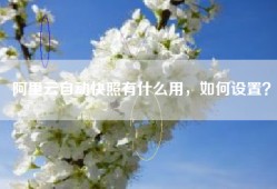 阿里云自动快照有什么用，如何设置？
