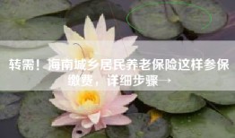 转需！海南城乡居民养老保险这样参保缴费，详细步骤→