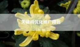 关键词优化推广排名
