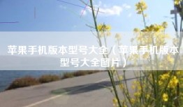 苹果手机版本型号大全（苹果手机版本型号大全图片）