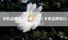 手机品牌排行榜前十名（手表品牌排行榜前十名）