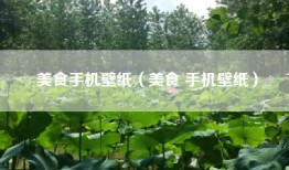美食手机壁纸（美食 手机壁纸）