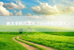 各大手机代言人（2020手机代言人）