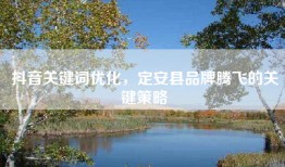 抖音关键词优化，定安县品牌腾飞的关键策略
