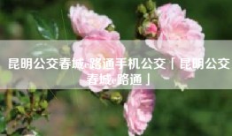 昆明公交春城e路通手机公交「昆明公交春城e路通」