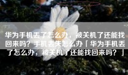 华为手机丢了怎么办，被关机了还能找回来吗？手机丢失怎么办「华为手机丢了怎么办，被关机了还能找回来吗？」