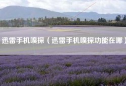 迅雷手机嗅探（迅雷手机嗅探功能在哪）